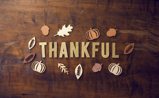 Daily Devotional - Thankfulness